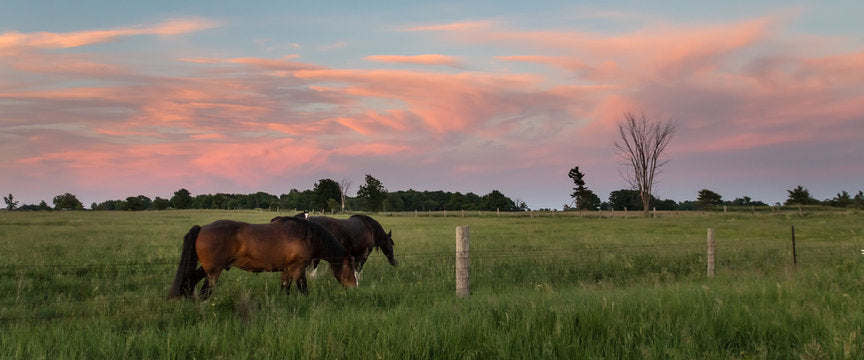 Western