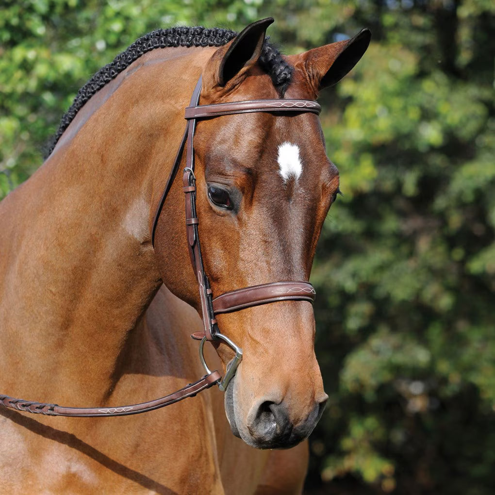 Arc De Triomphe Tribute Bridle W/Raised Fancy Laced Reins Brown Oversized
