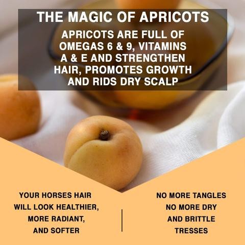 Knotty Horse Apricot Oil Detangling Treatment
