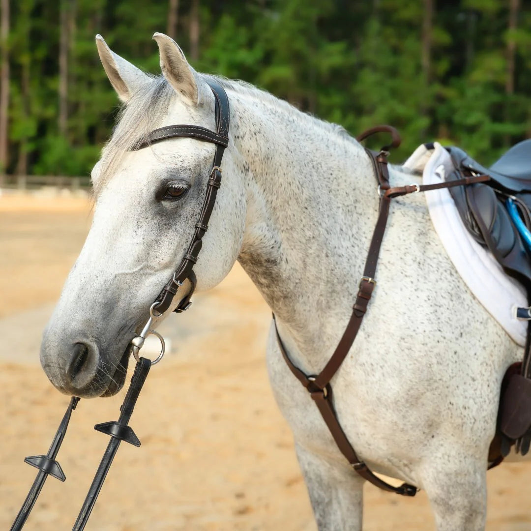 Correct Connect 3-Point Breastplate with Double Neck Strap - Brown