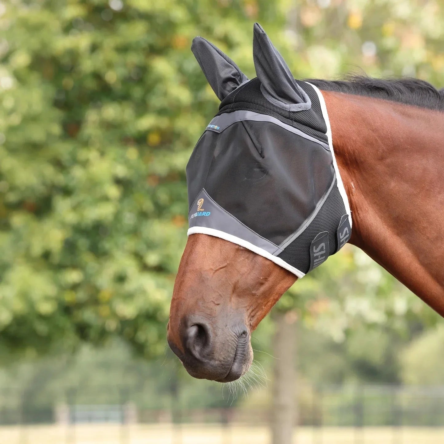 Shires Fly Guard Pro Air Motion Airstream Ears