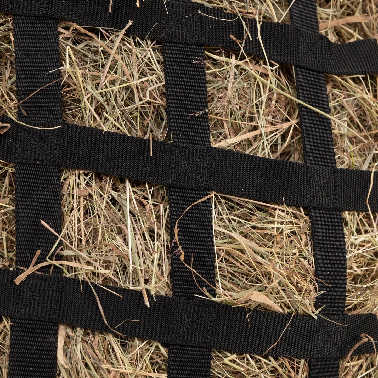 FreeGraze Deluxe Web Hay Bag