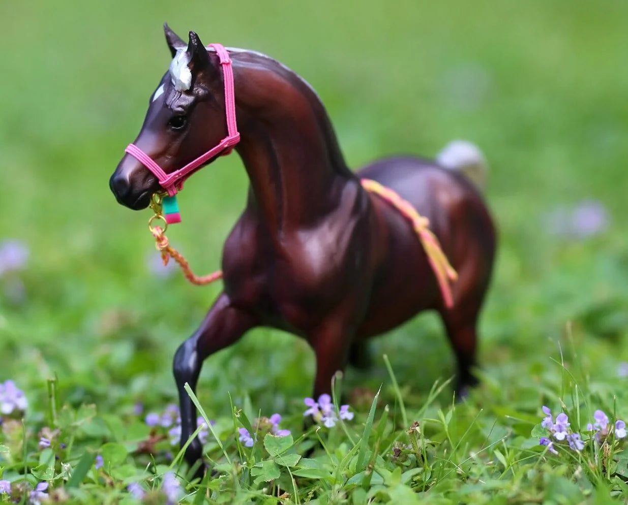 Breyer 4-Ever Friends Gift Set