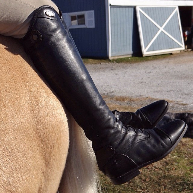 Parlanti: Miami Field Boot - Black - Gee Gee Equine Equestrian Boutique
- 6