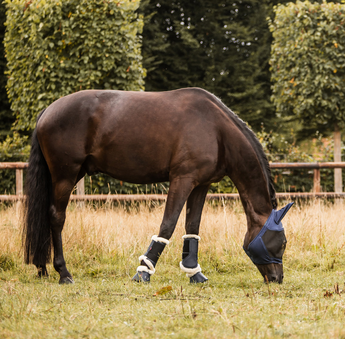 Equinavia by Horze Cayman Fly Mask