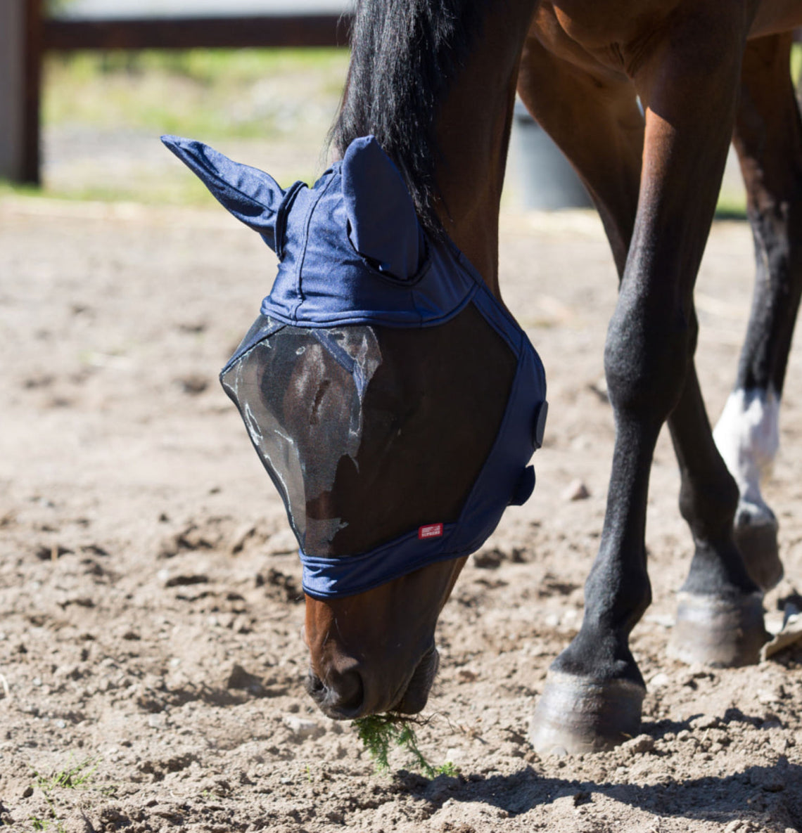 Equinavia by Horze Cayman Fly Mask