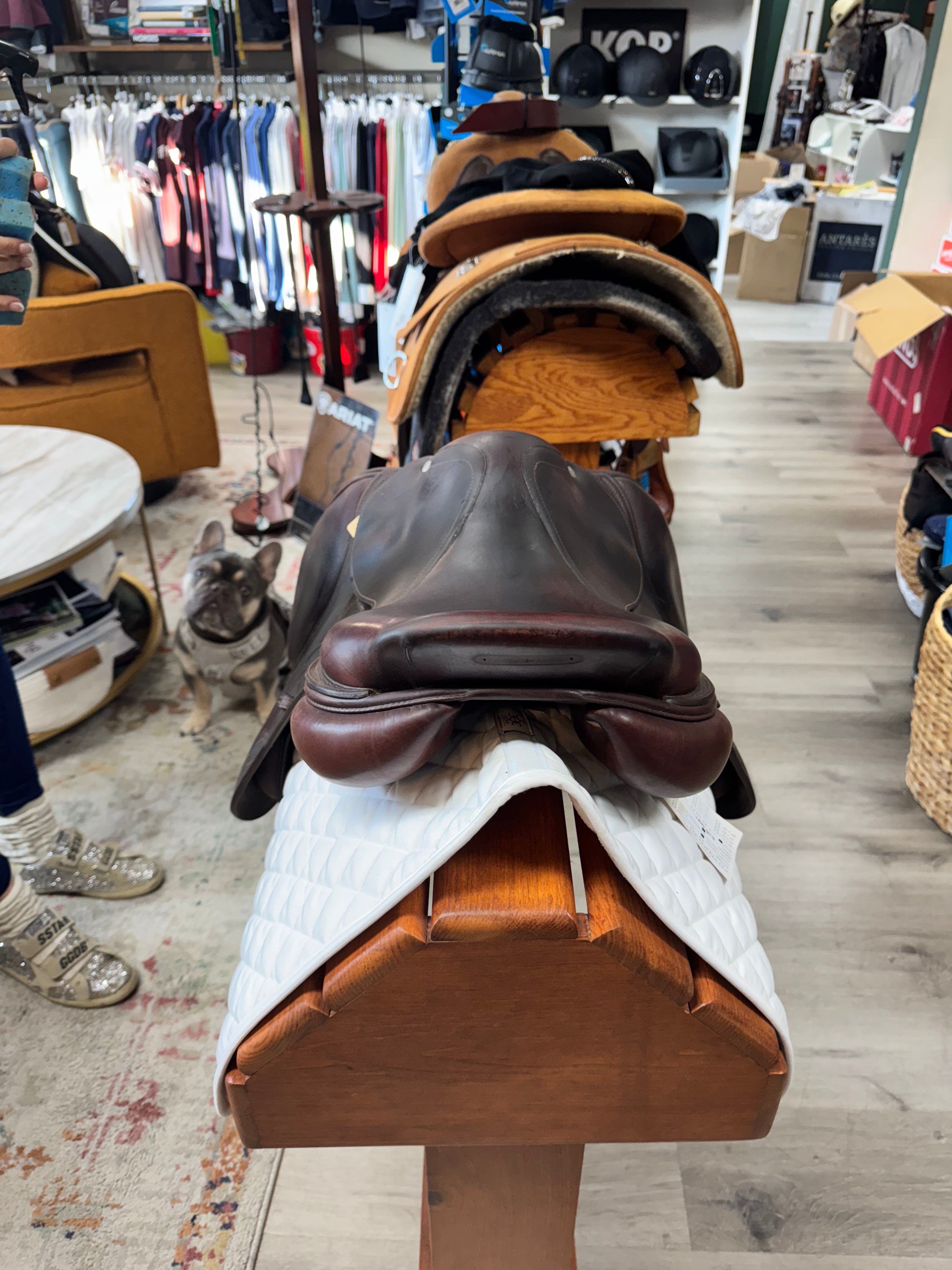 289NJ CWD SE02 Close Contact Jumping Saddle Size 17 #1166