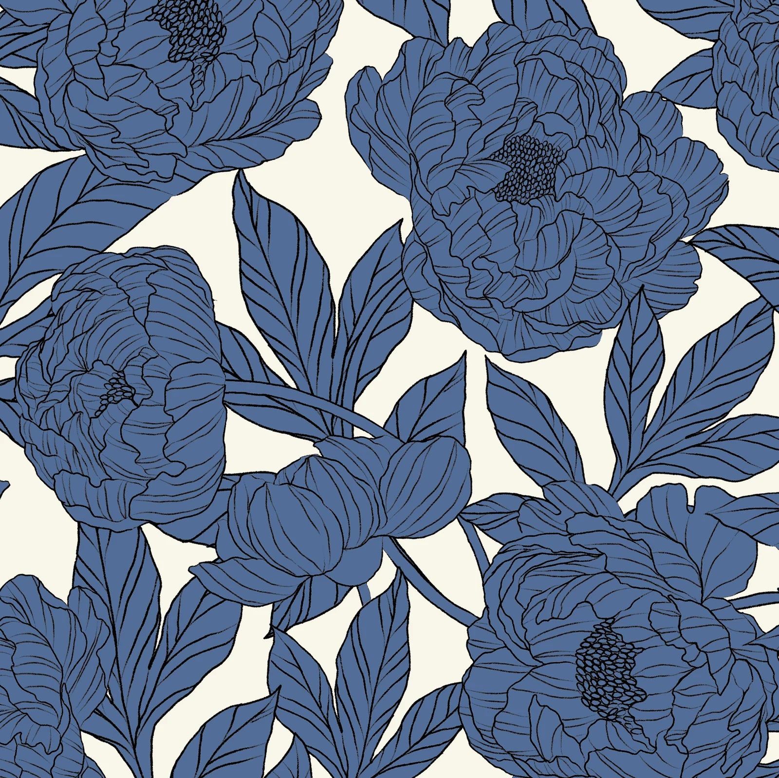 Kastel Pacific Blue Wild Rose W/ Striped Cuff Long Sleeve Crewneck