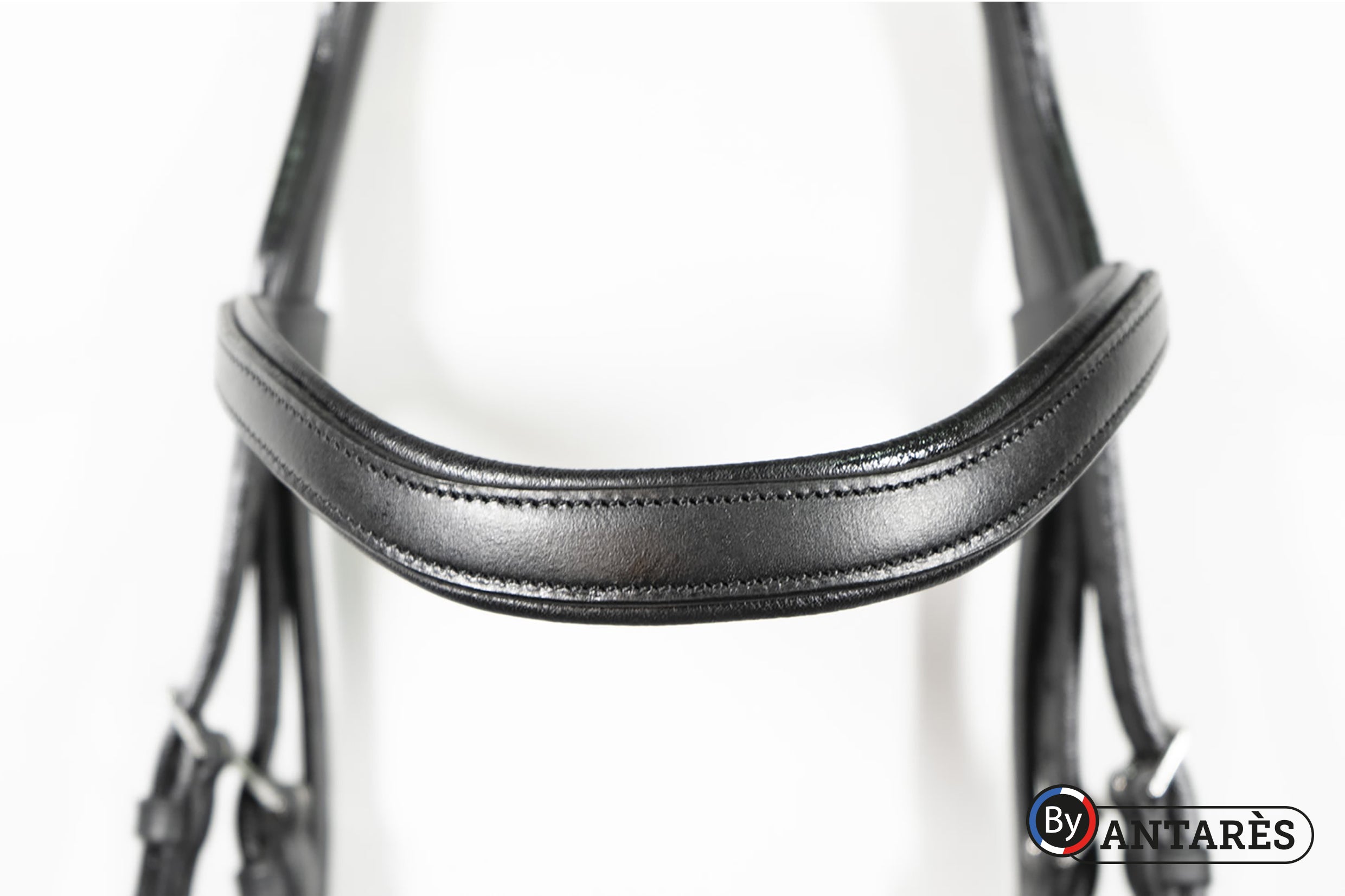 Gee Gee Equine Antares Signature Bridon Dressage Bridle