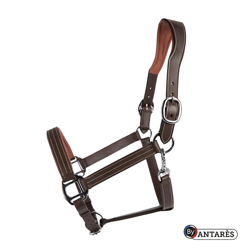 Antares Signature Anatomic Leather Halter