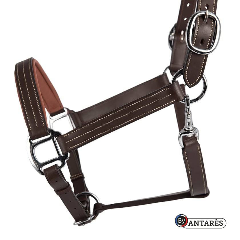 Antares Signature Anatomic Leather Halter