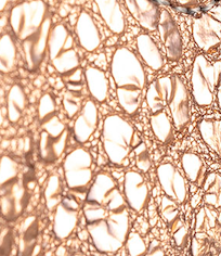 DeNiro Swatch BG Collection