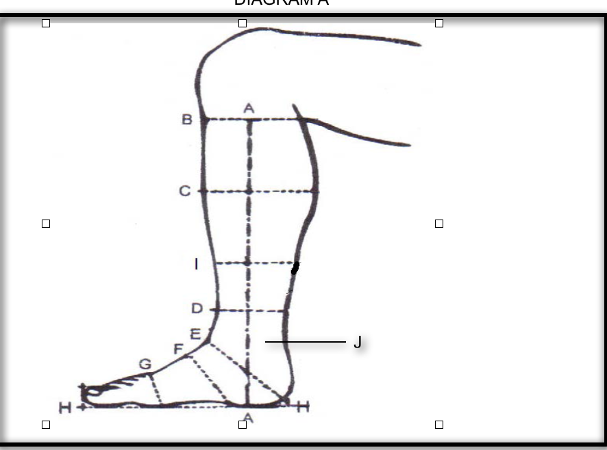 Deniro Raffaello Dressage boot Rondine top - Gee Gee Equine Equestrian Boutique
- 3