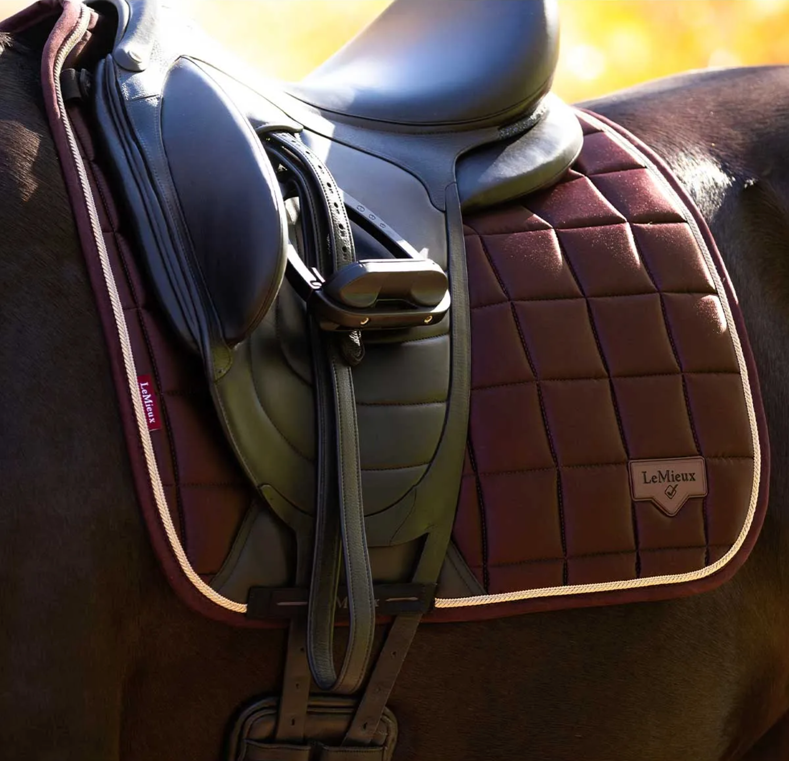 LeMieux Loire Classic Dressage Square Pad