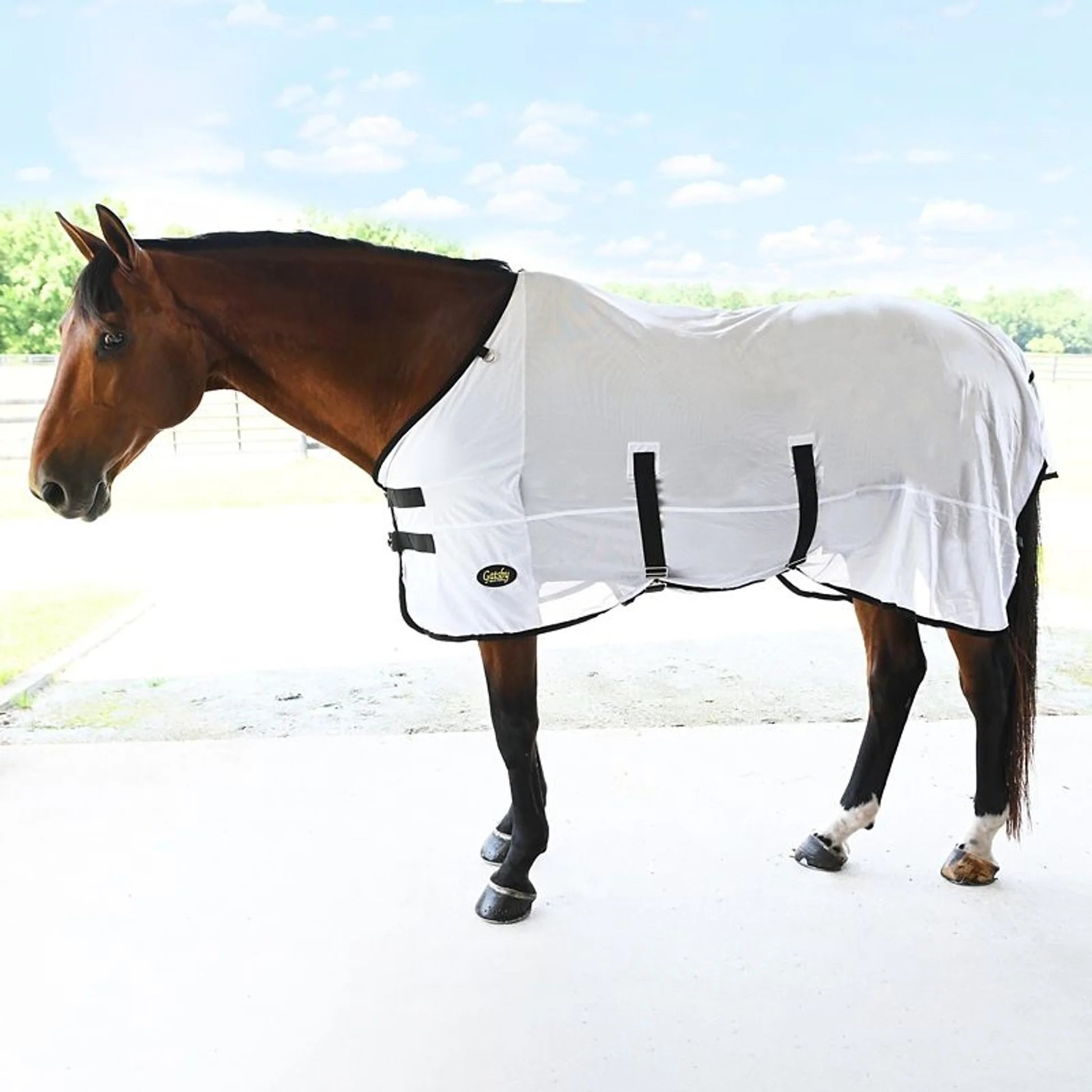 Used Gatsby Mesh Horse Blanket | White/Black