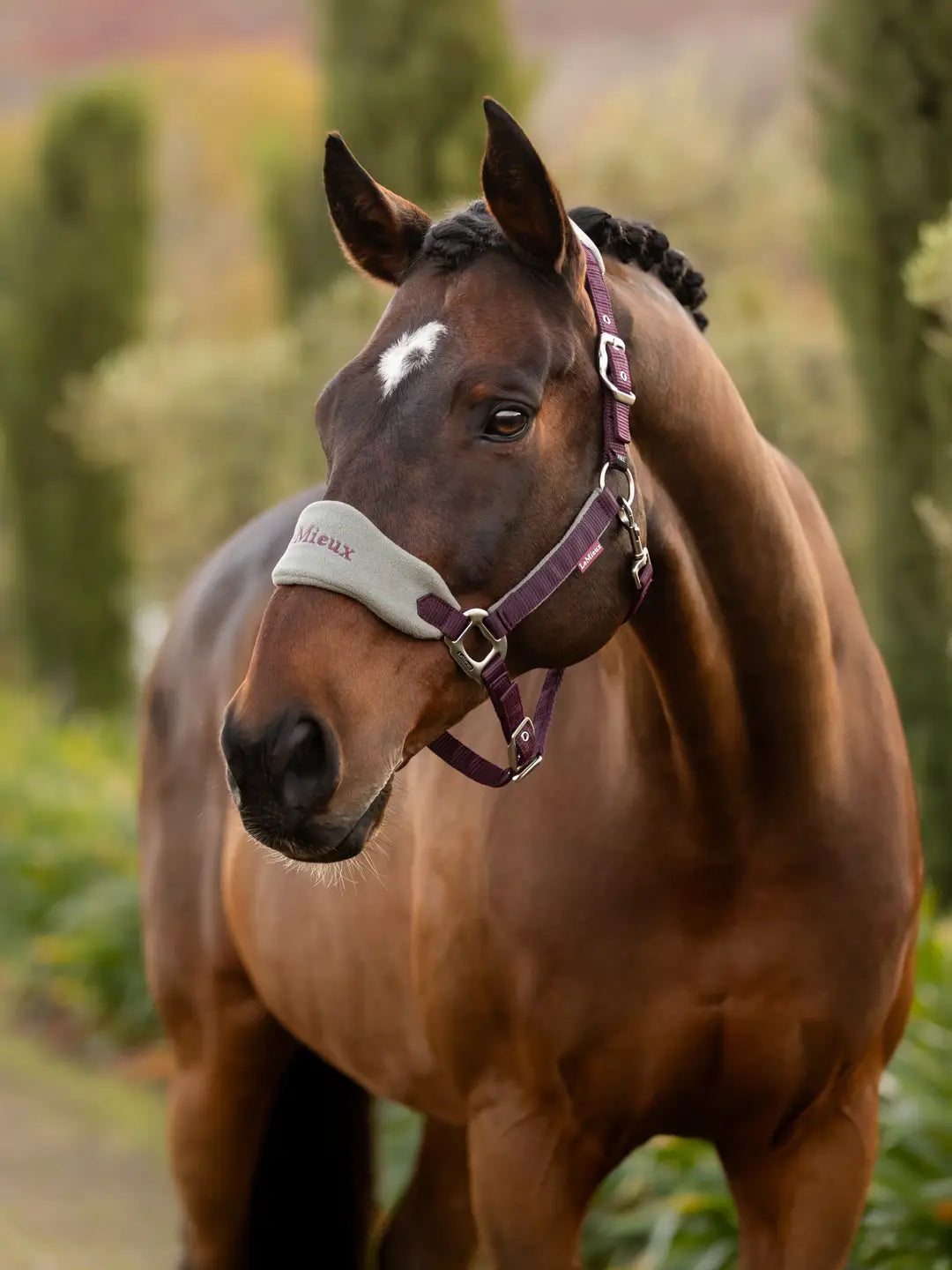 LeMieux Vogue Headcollar & Leadrope