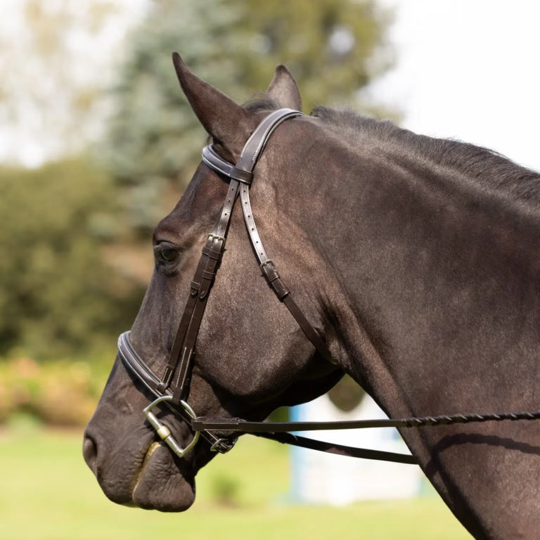 Equinavia Saga Fancy Stitched Hunter Bridle & Reins Cob