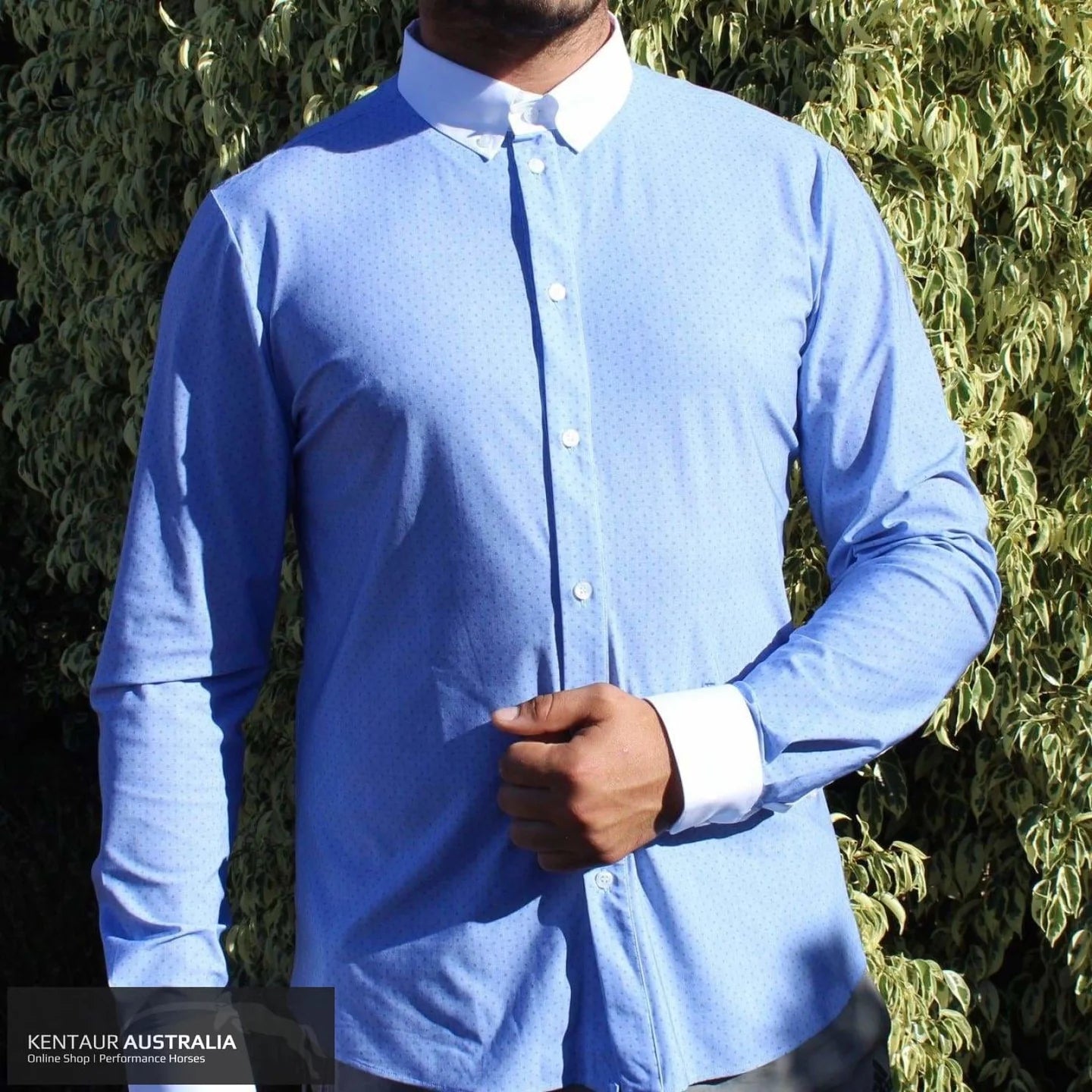 CT Gulbert Shirt LS 39