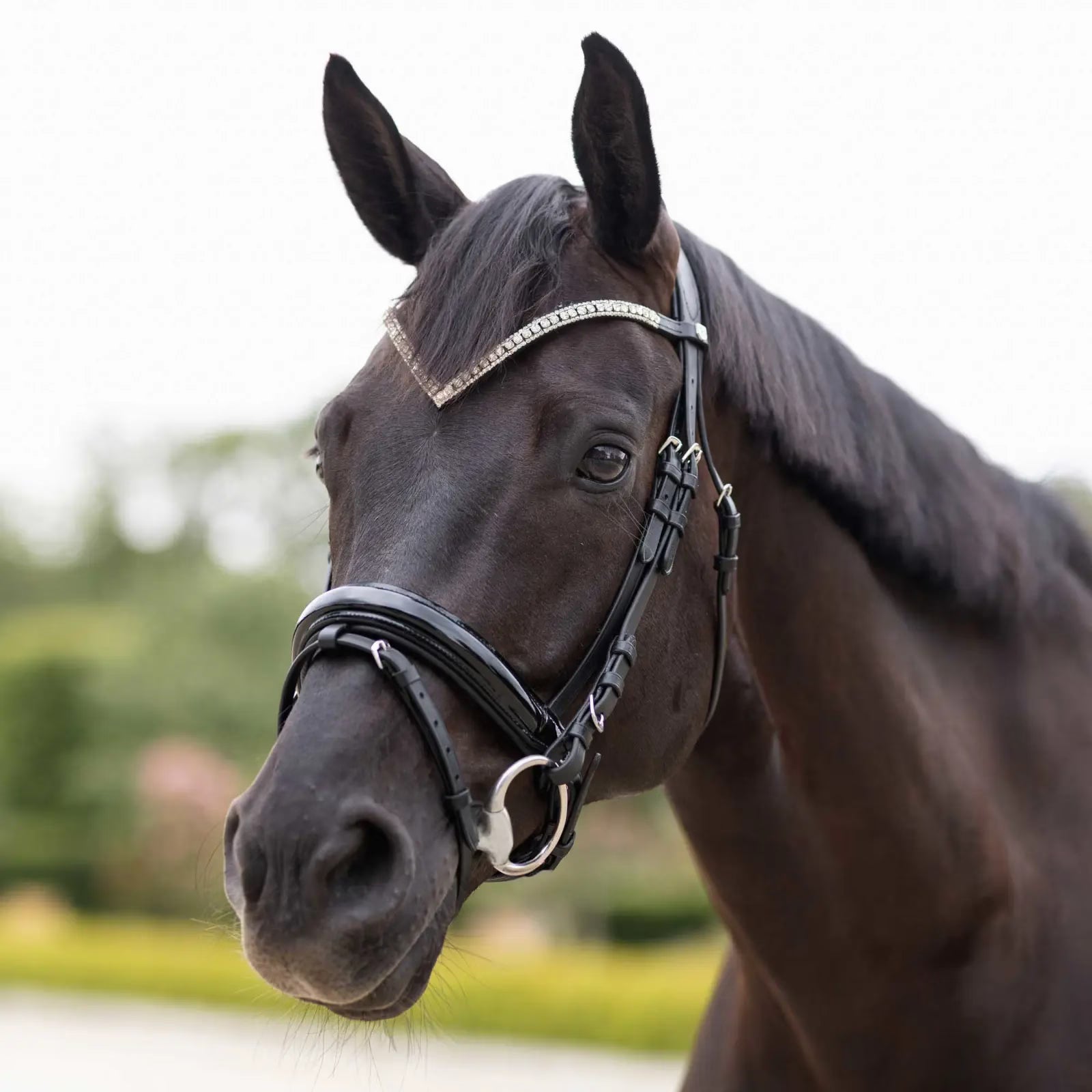 Horze Grayson Classic Dressage Ergonomic Bridle
