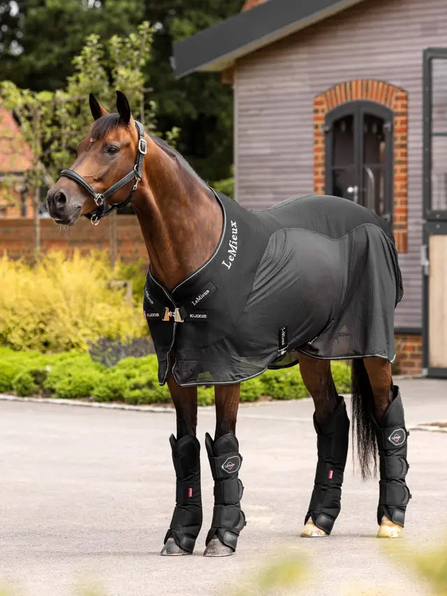 Lemieux Travel Boots - Black