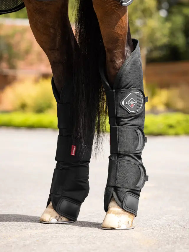 Lemieux Travel Boots - Black