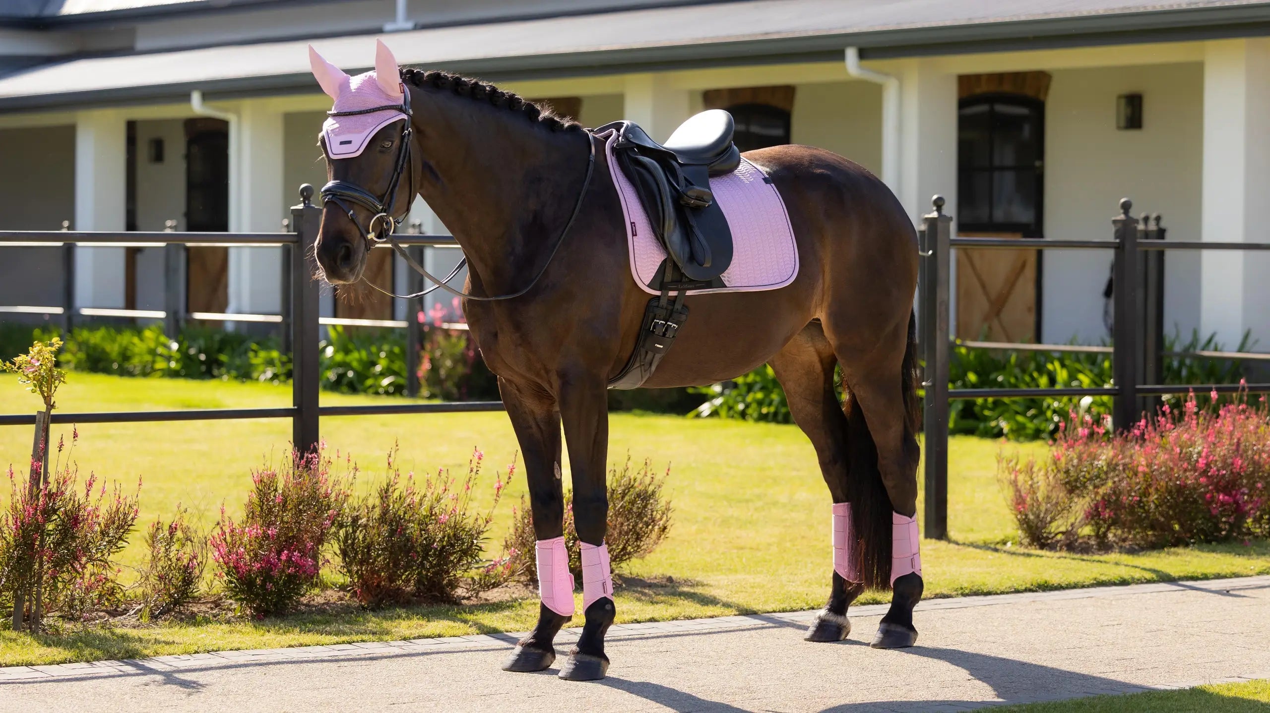 LeMieux Essence Dressage Square - Fondant
