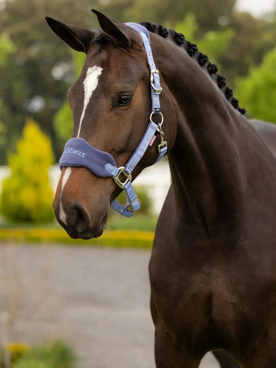 LeMieux Vogue Headcollar & Leadrope - Powder Blue