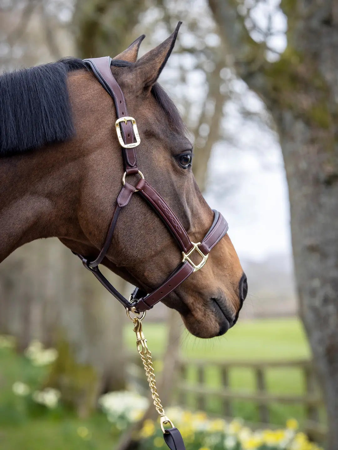 LeMieux Stitched Leather Headcollar