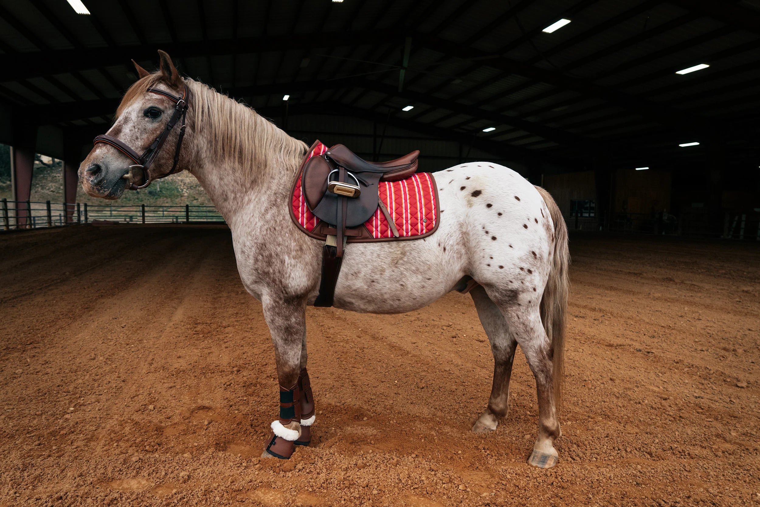 Sixteen Cypress Jumper Pad Derby Stripe