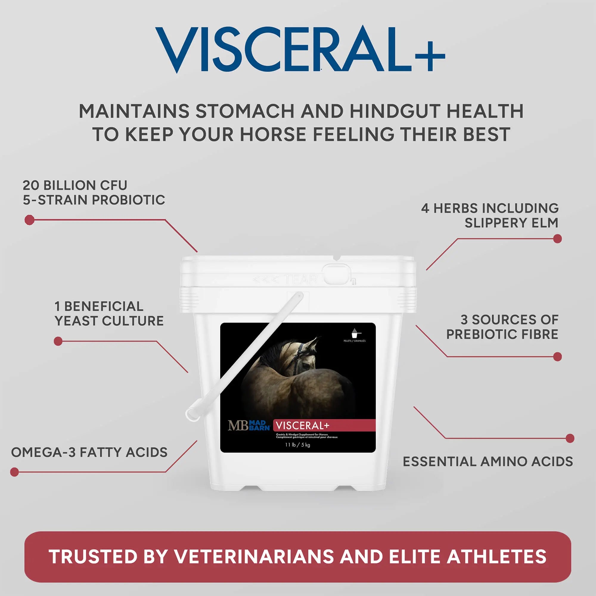 MadBarn Visceral +