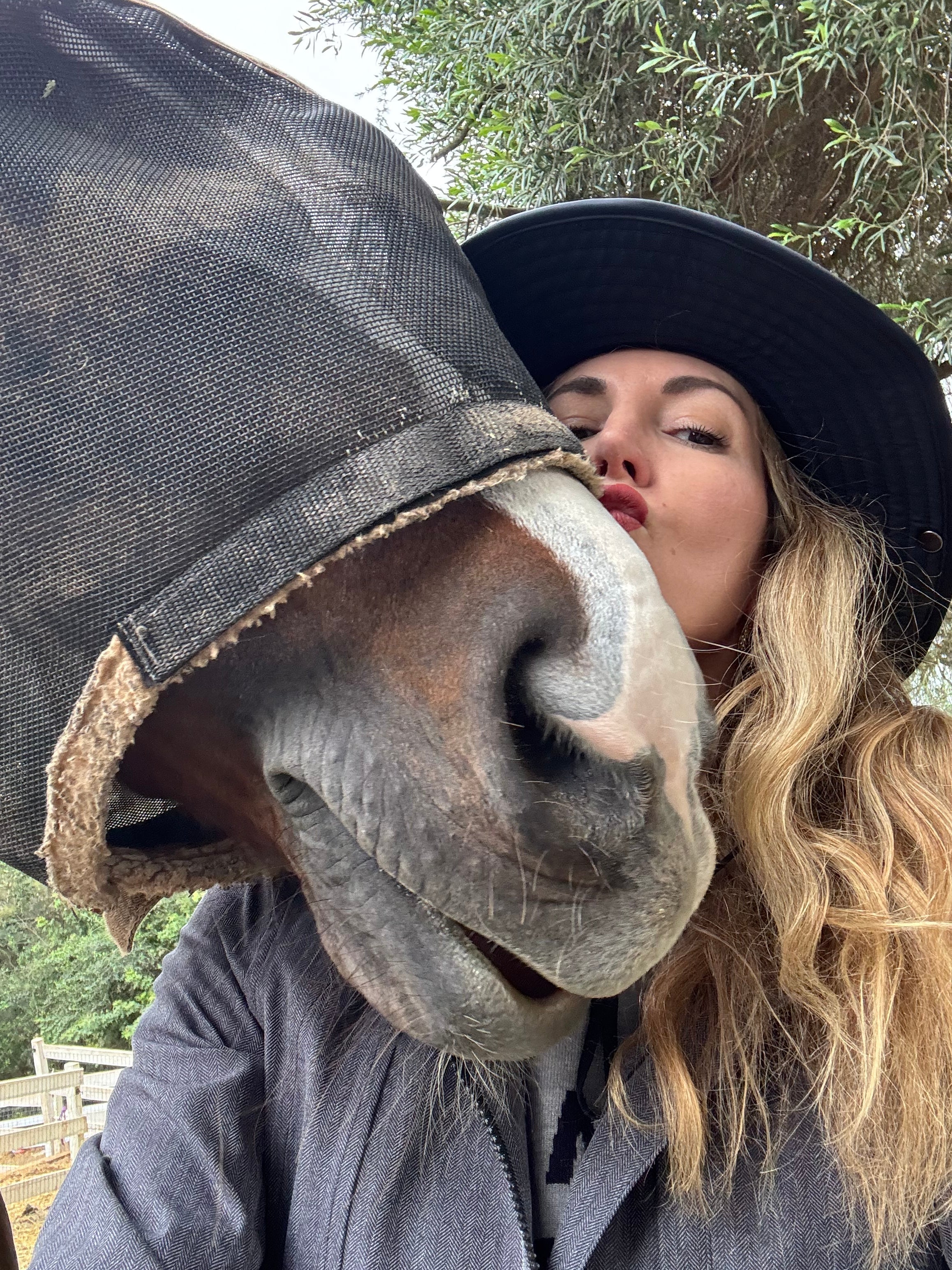 Blonde woman kissing a Dutch warmblood horse wearing a fly mask