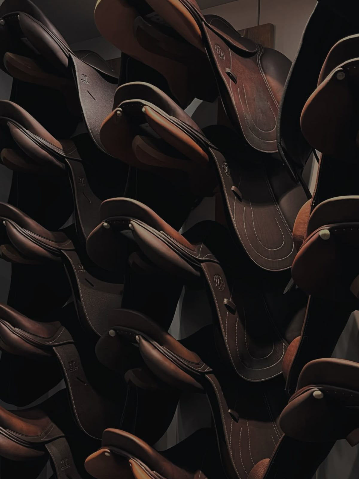 Saddles