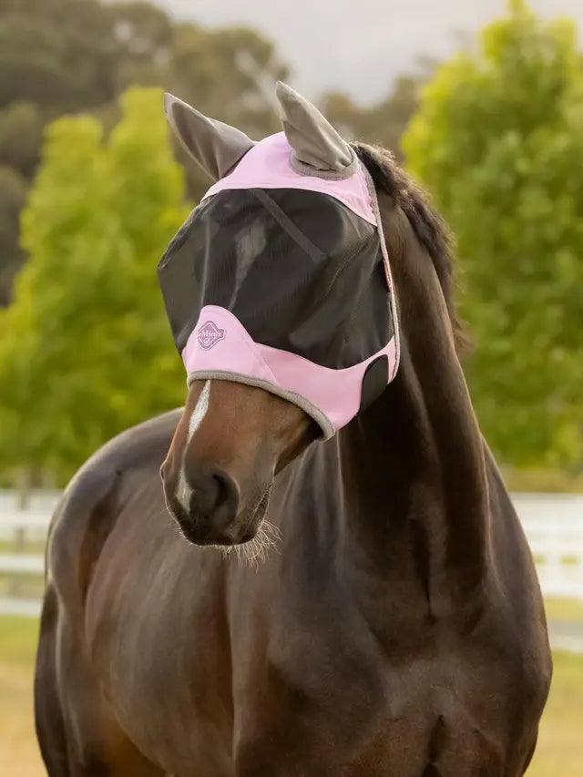 Fly Protection