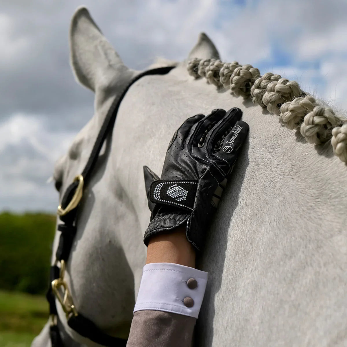 Gloves