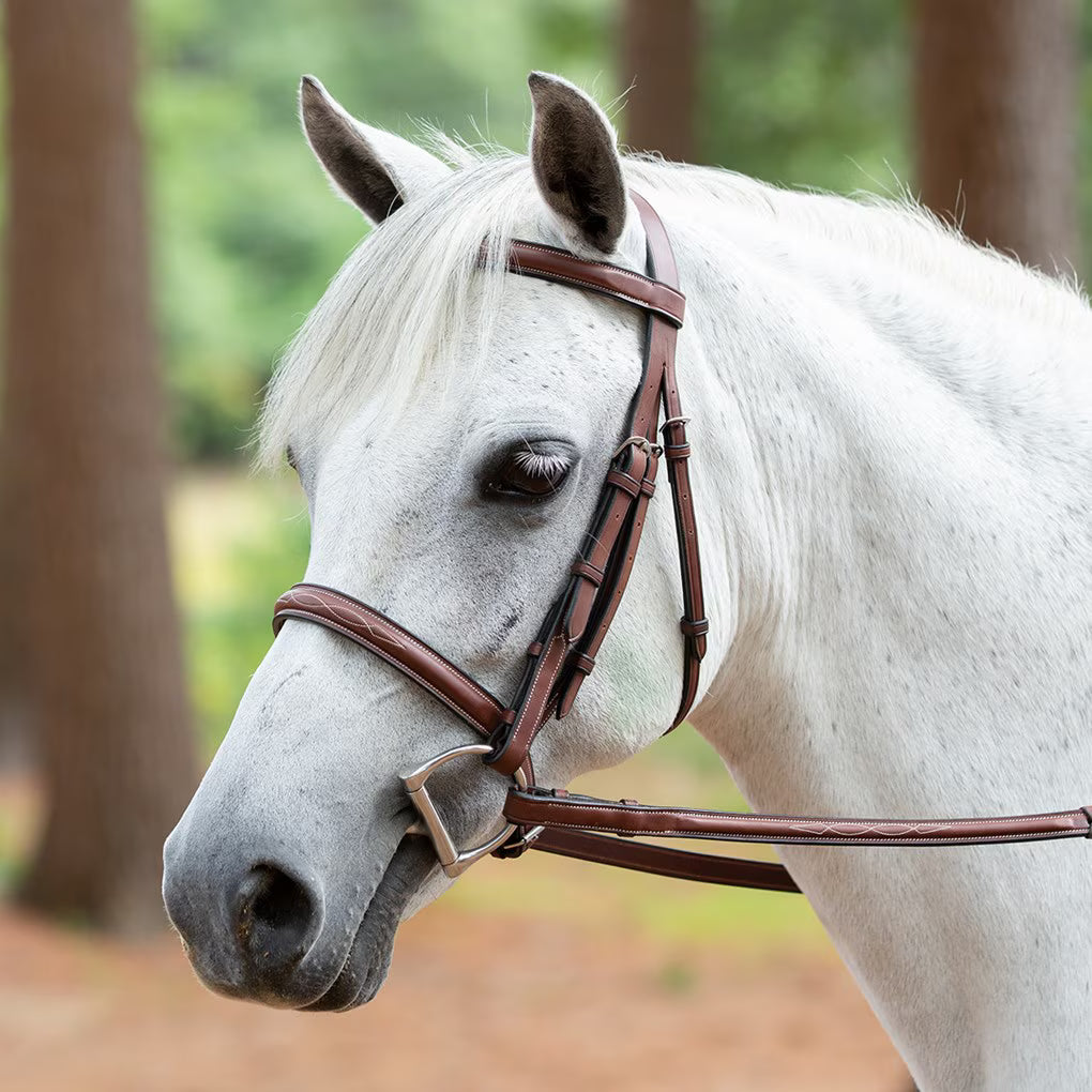 Arc De Triomphe Tribute Bridle W/Raised Fancy Laced Reins Brown Oversized