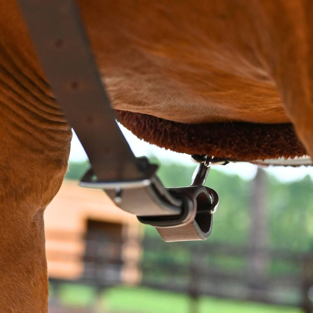 Correct Connect 3-Point Breastplate with Double Neck Strap - Brown