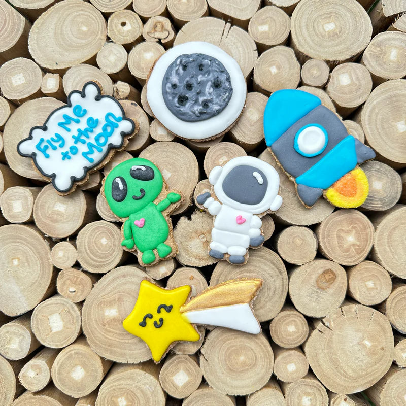 Blissful Cookies Icing Horse Cookies - Space