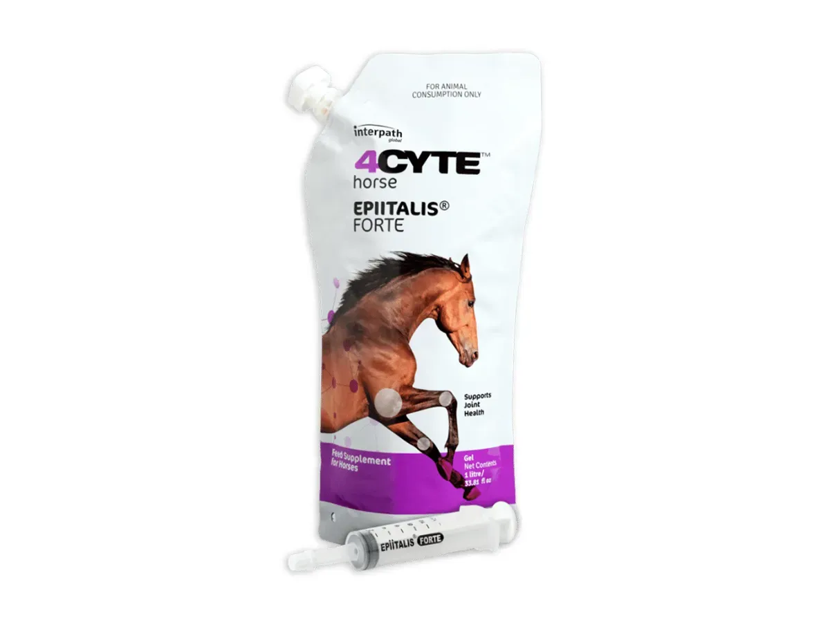 4Cyte Horse Epitalis Forte