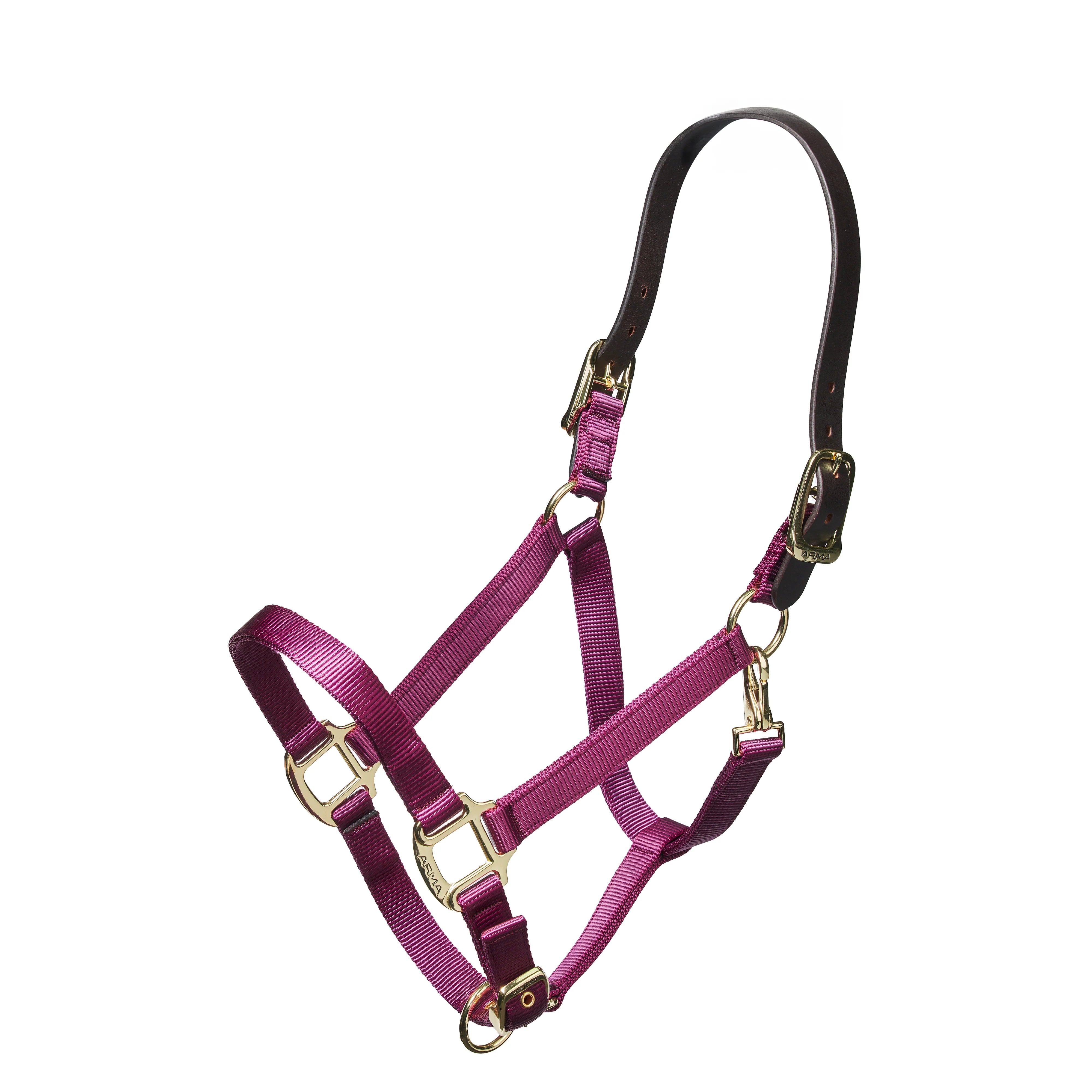 ARMA Nylon Halter With Leather Head Strap