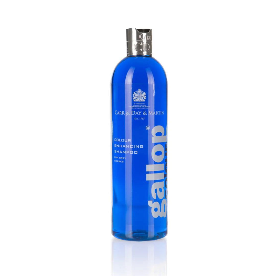 Carr & Day & Martin Gallop Colour Enhancing Shampoo