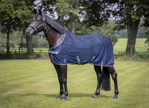 LeMieux Arika Air Tek Rug