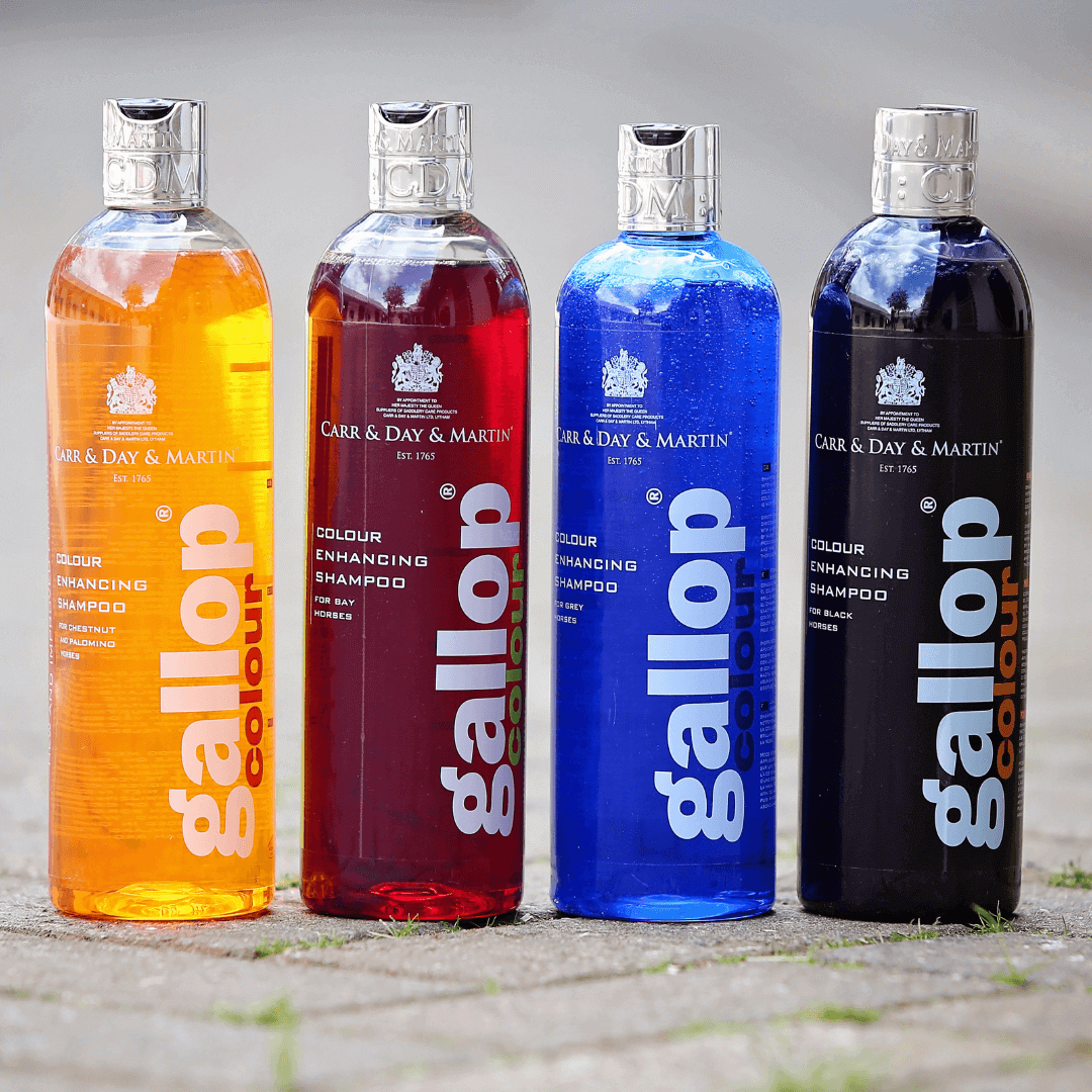 Carr & Day & Martin Gallop Colour Enhancing Shampoo