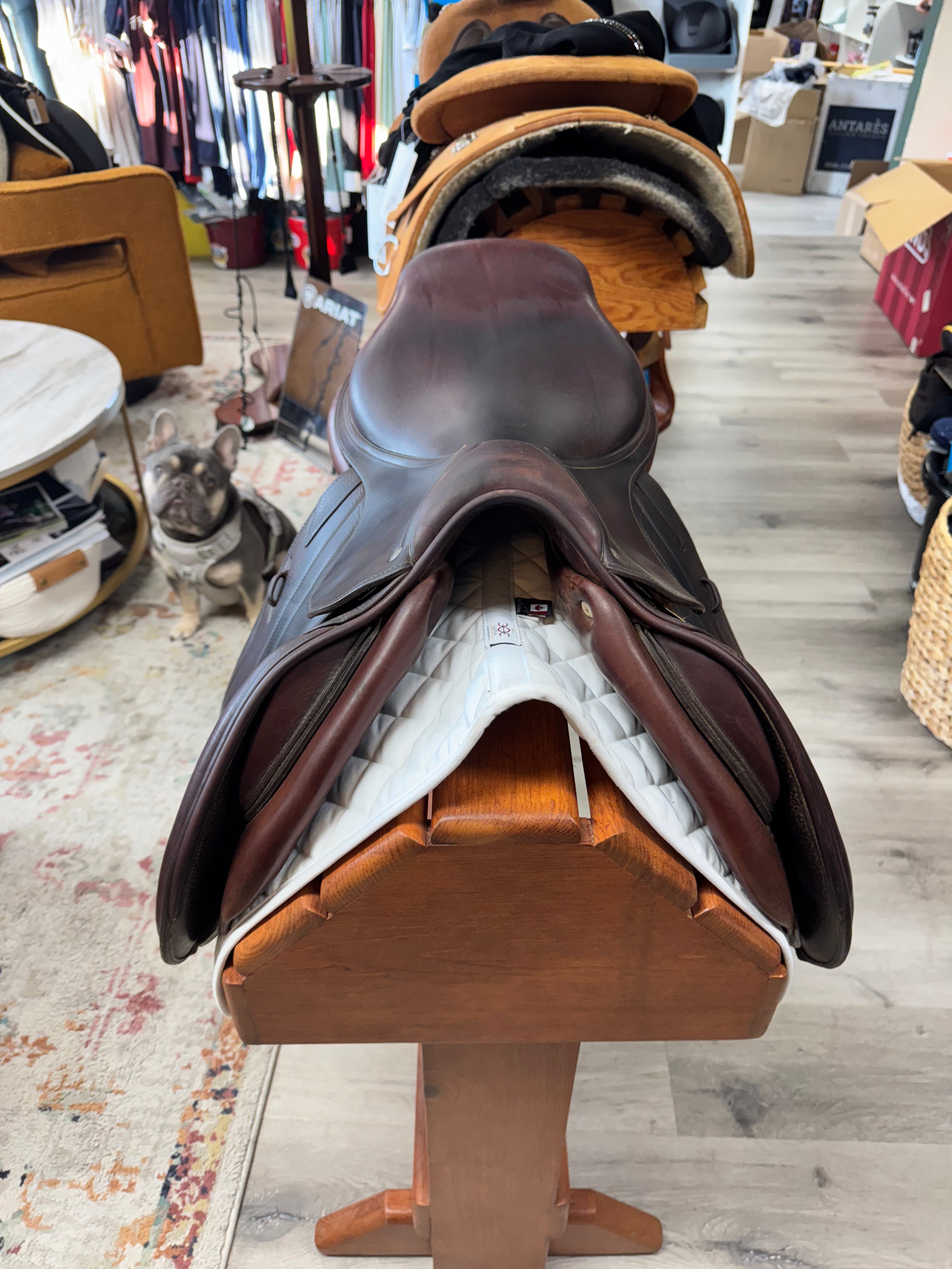 289NJ CWD SE02 Close Contact Jumping Saddle Size 17 #1166