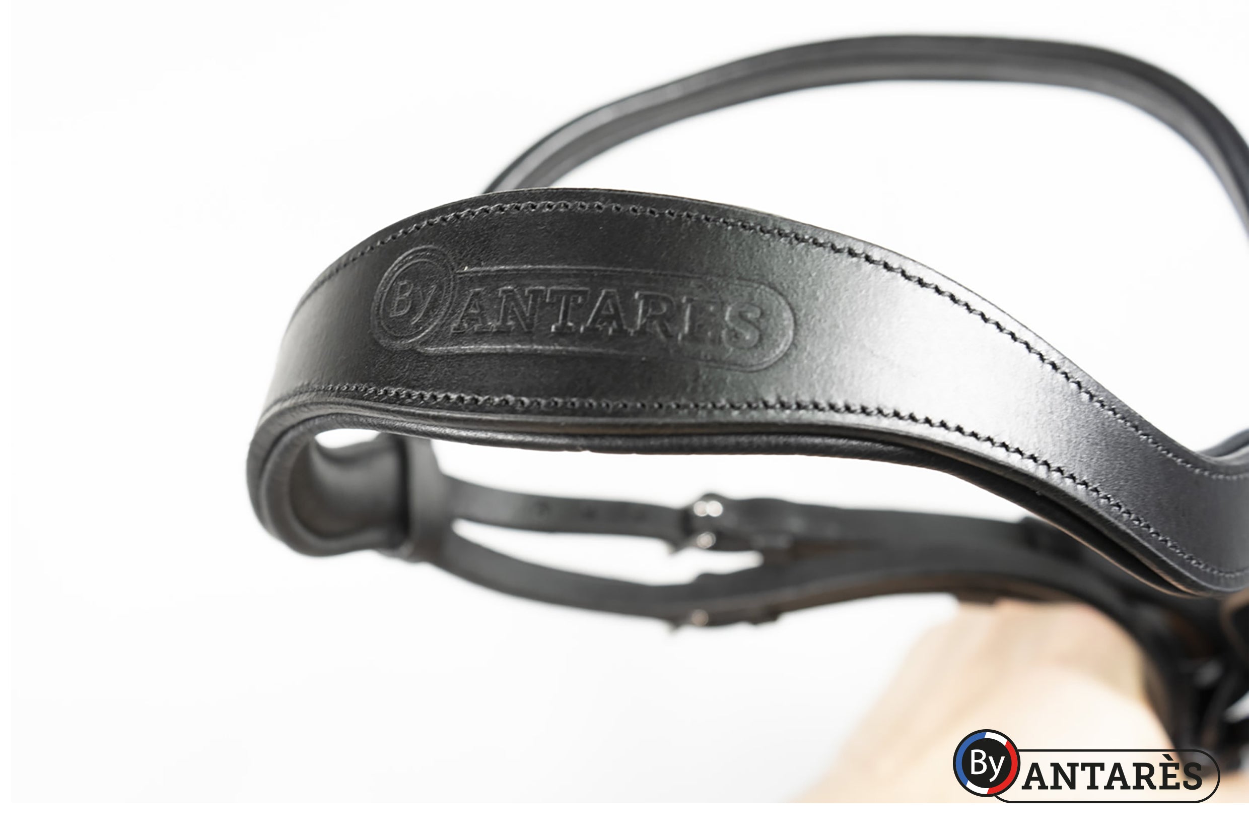 Gee Gee Equine Antares Signature Bridon Dressage Bridle