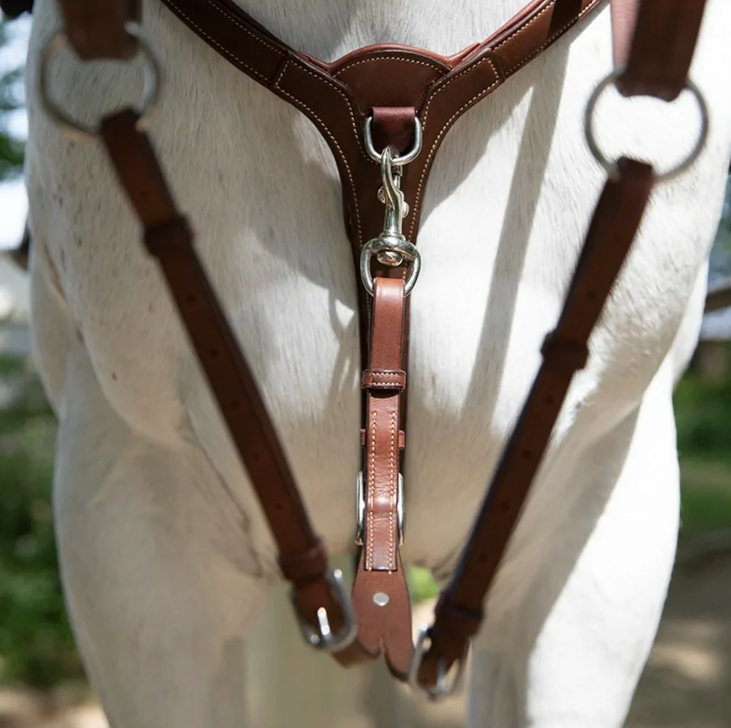 Gee Gee Equine Antares Origin Running Martingale Attachment