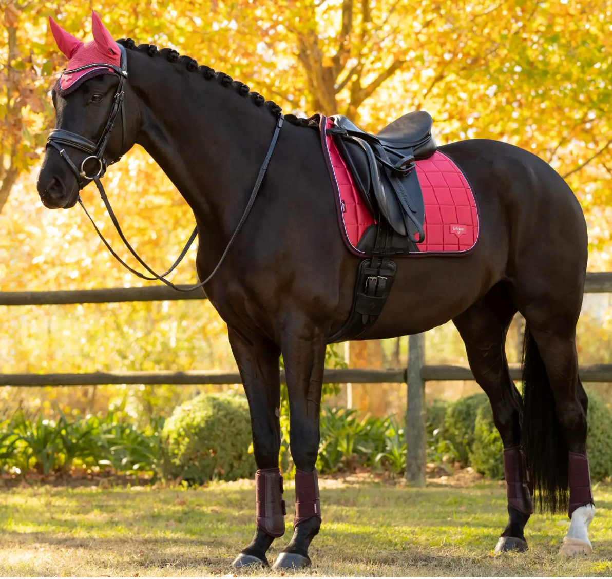 LeMieux Loire Classic Dressage Square Pad