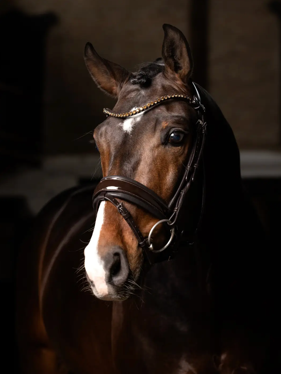 LeMiuex Kudos Patent Dressage Bridle - Brown
