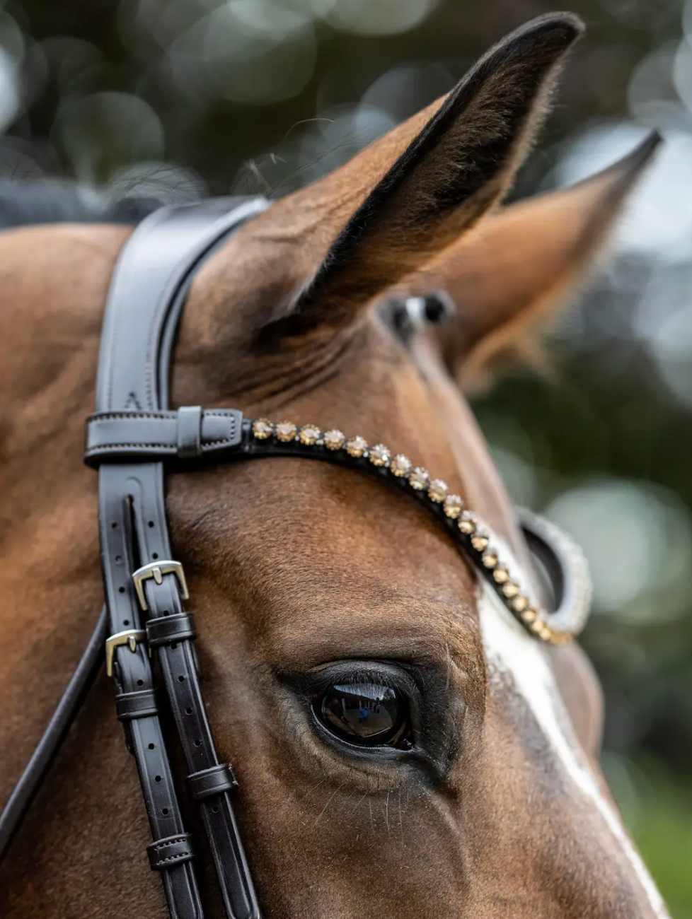 LeMiuex Kudos Patent Dressage Bridle - Brown