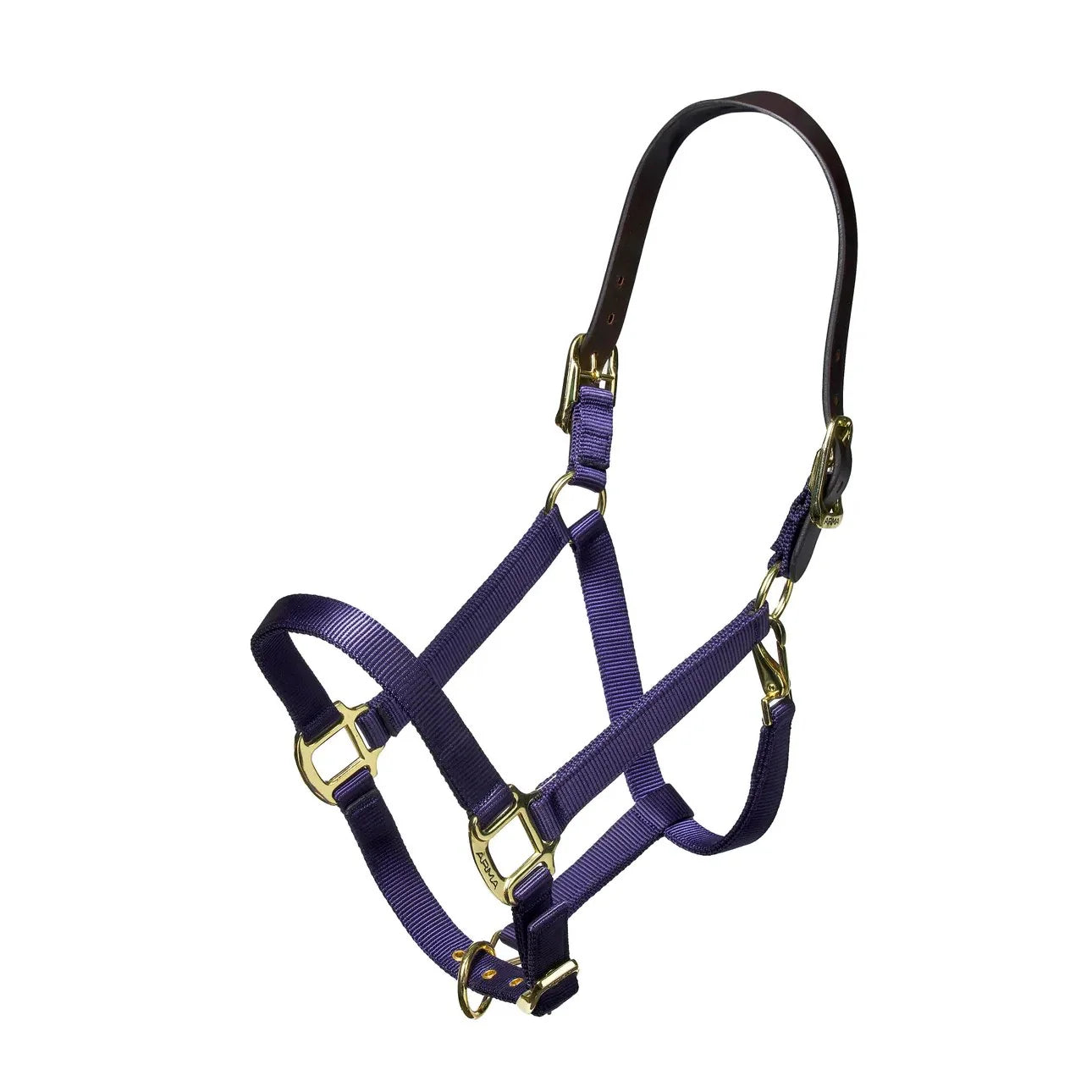 ARMA Nylon Halter With Leather Head Strap