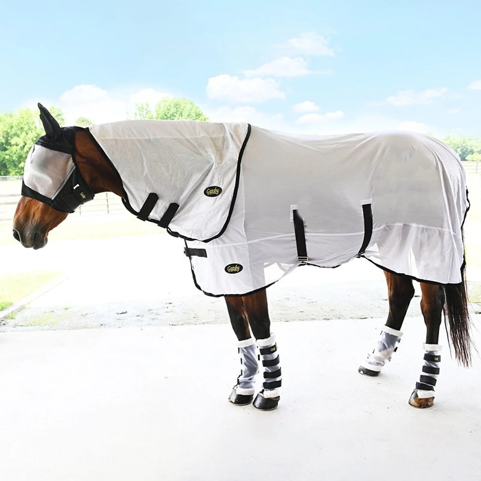Used  Gatsby Mesh Horse Blanket | White/Black
